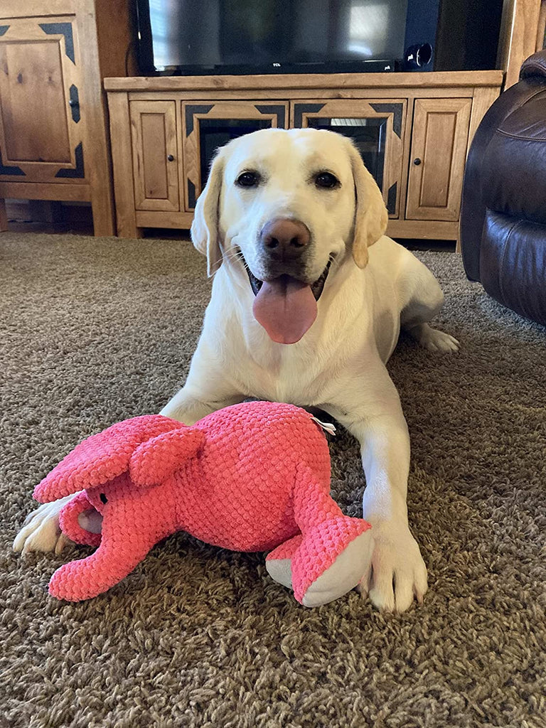 Toys and Importance of Playtime