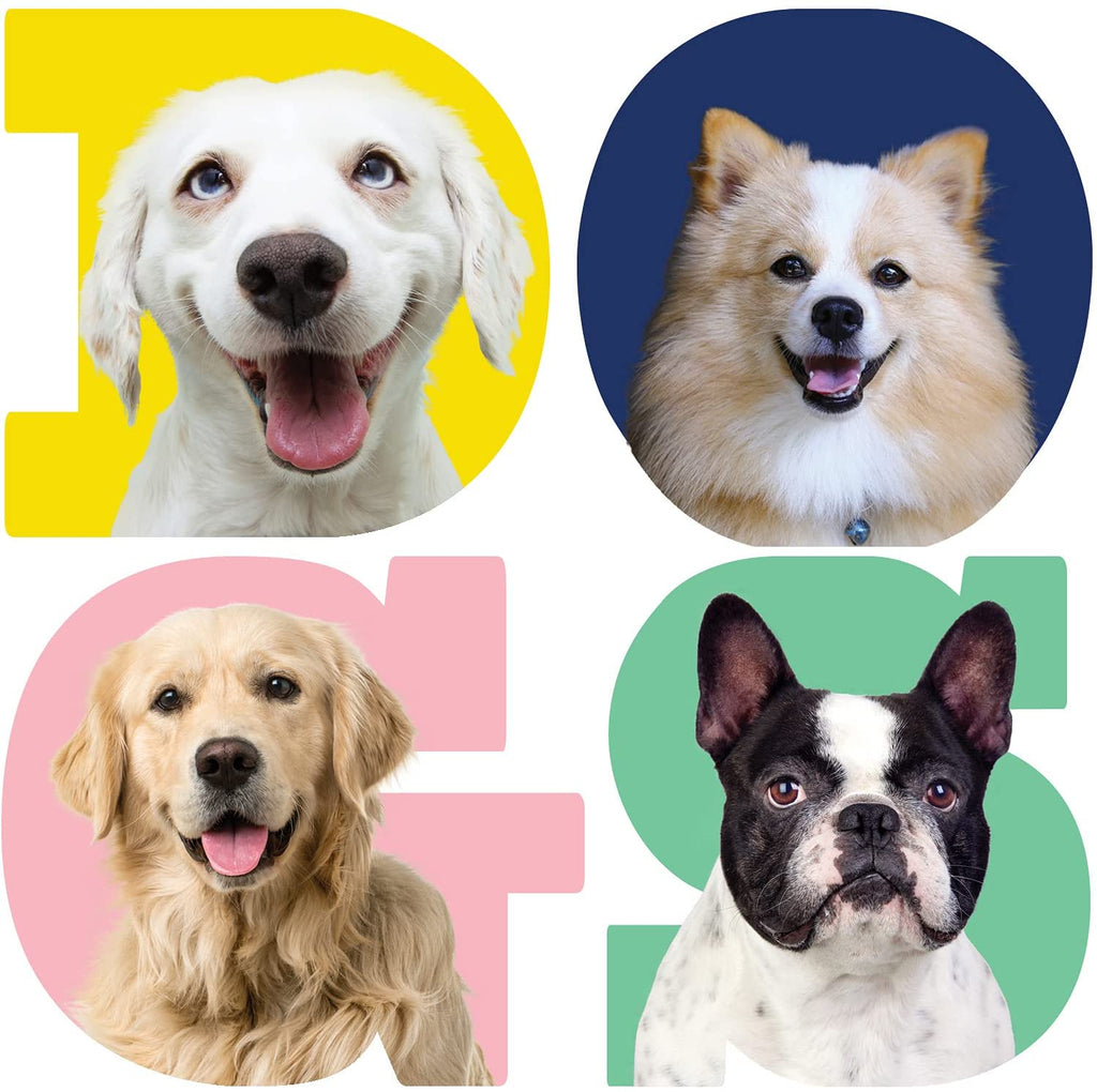 Blank Dog Note Cards