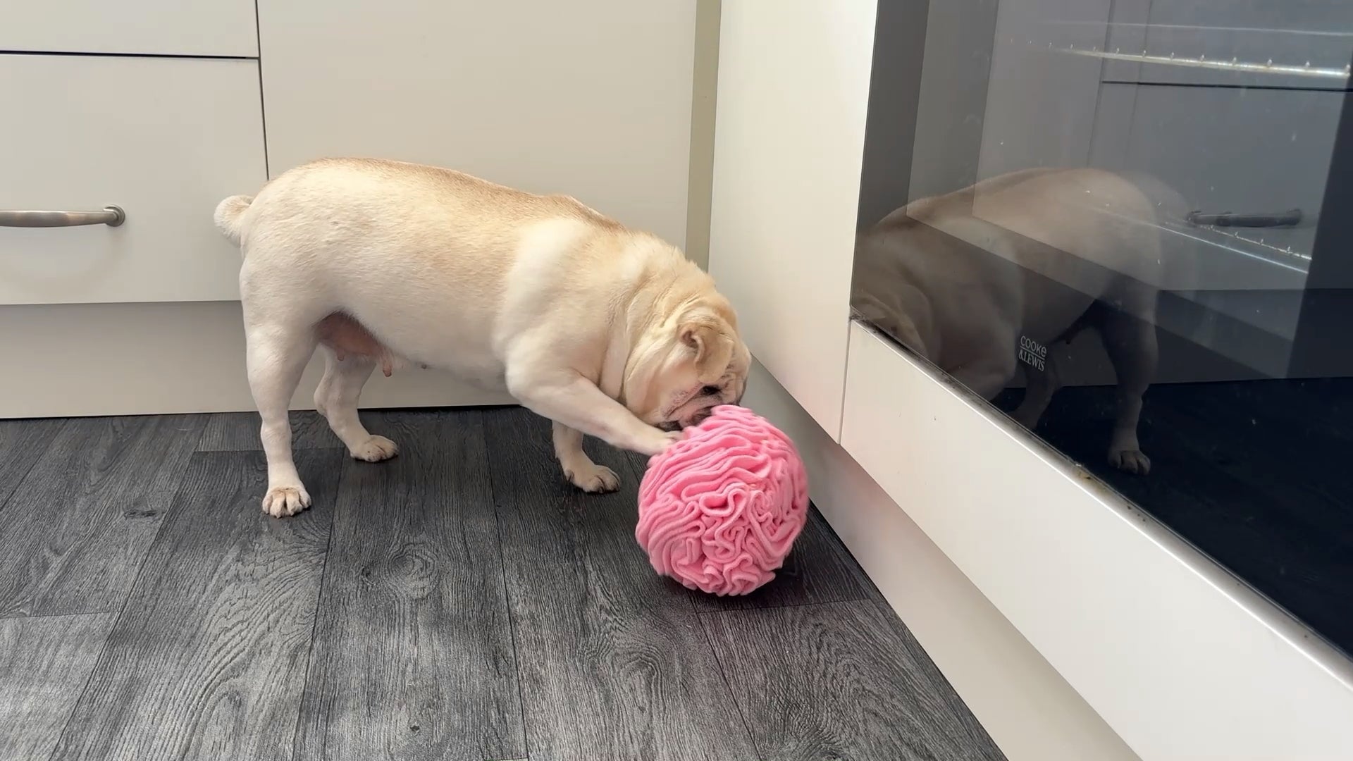 Snuffle Interactive Foraging Dog Puzzle Ball Toy for Puppy and Adult