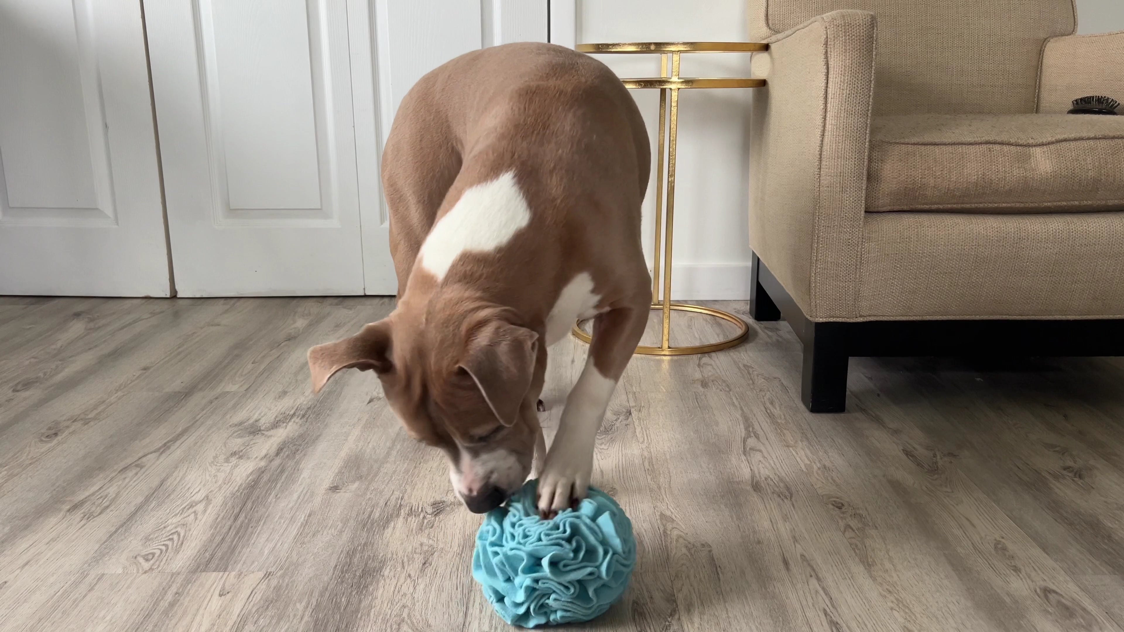 Snuffle Interactive Foraging Dog Puzzle Ball Toy for Puppy and Adult