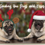 Pugs and Kisses