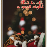 Beagle