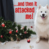 And Then It Attacked Me