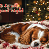 CKC Spaniel