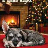 Mini Schnauzer