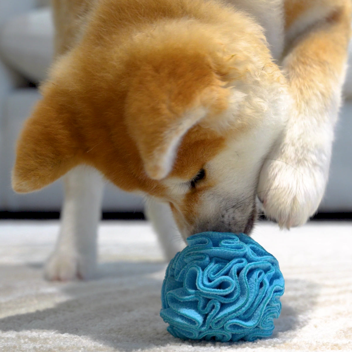Snuffle Interactive Foraging Dog Puzzle Ball Toy for Puppy and Adult