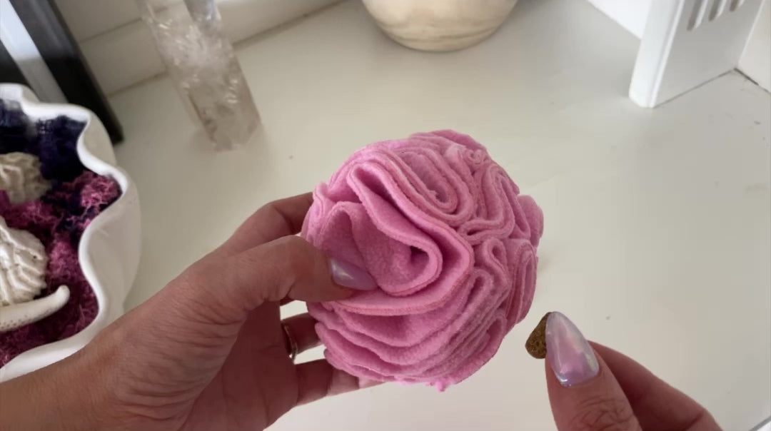 Teddi's Mom loads up his Snuffle Ball with Kibble