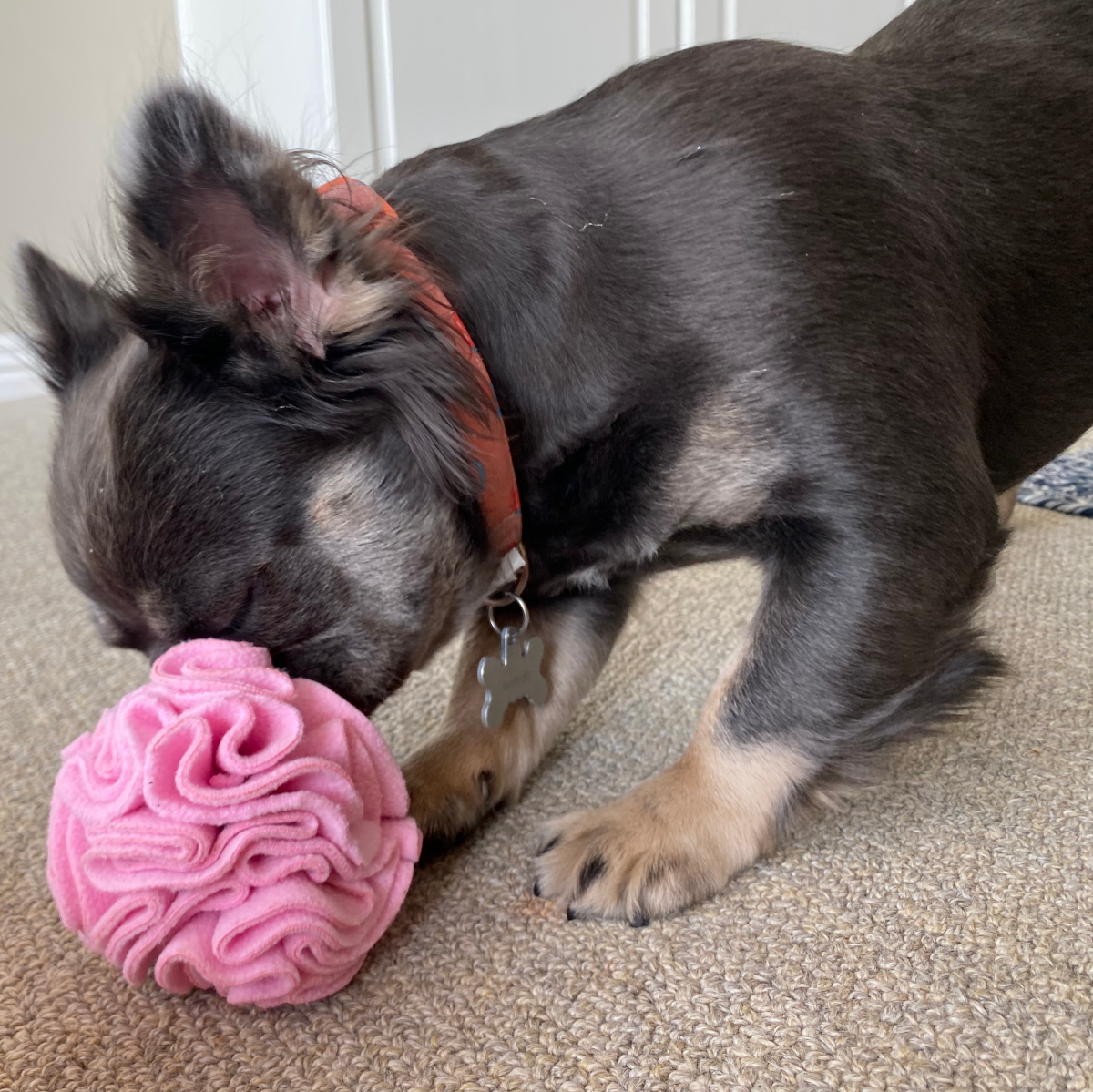Snuffle Interactive Foraging Dog Puzzle Ball Toy for Puppy and Adult