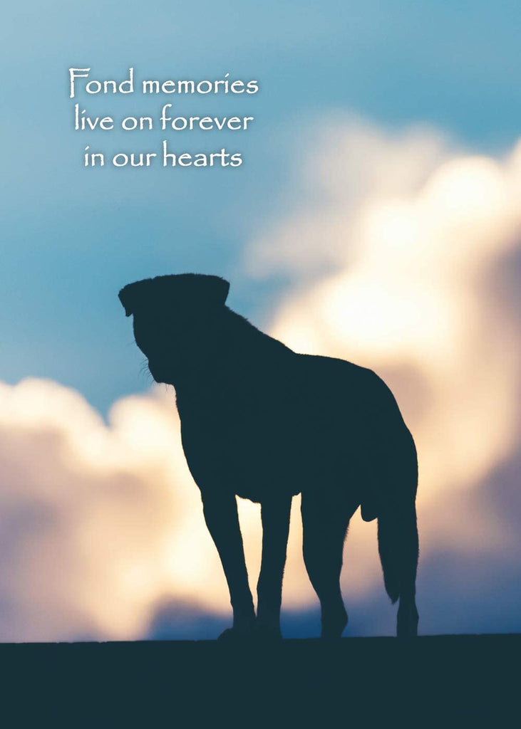 Fond memories live on forever in our hearts