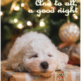 Maltese
