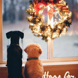 Home for Christmas