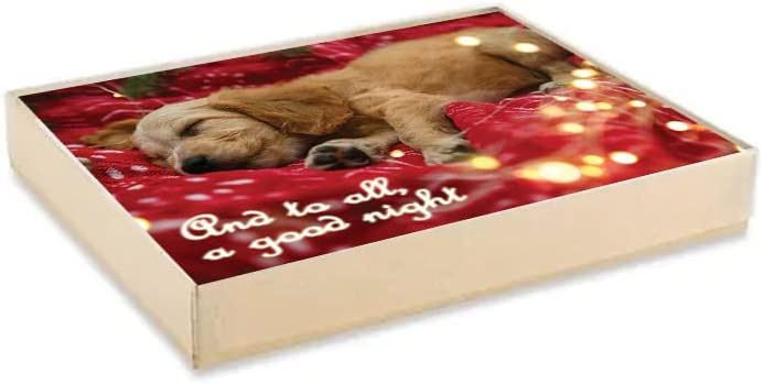 A picture of the greeting card set in it's packaging which is a gift box with a clear lid